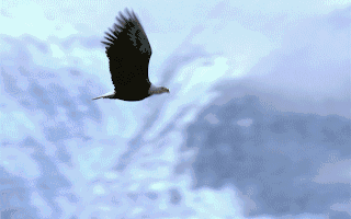 4月上市公司定增动态：实际募资总额17586亿元